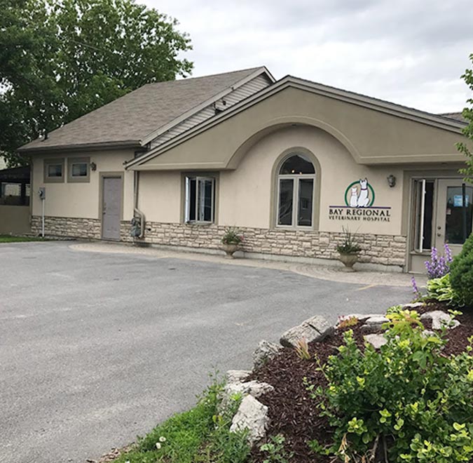 bay regional vet exterior building view