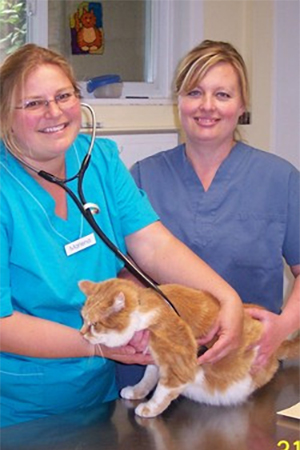 two team members smiling and examining cat